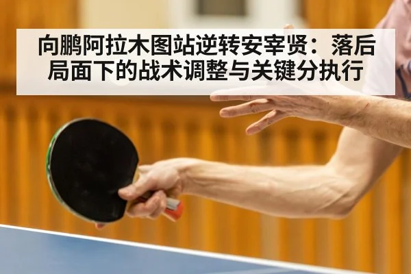 向鹏阿拉木图站逆转安宰贤：落后局面下的战术调整与关键分执行